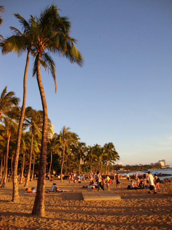 Honolulu's scenic beaches