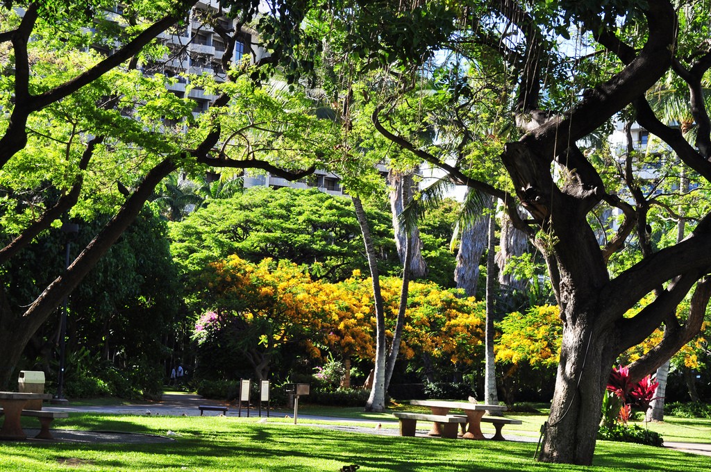 Honolulu parks and other recreational sites