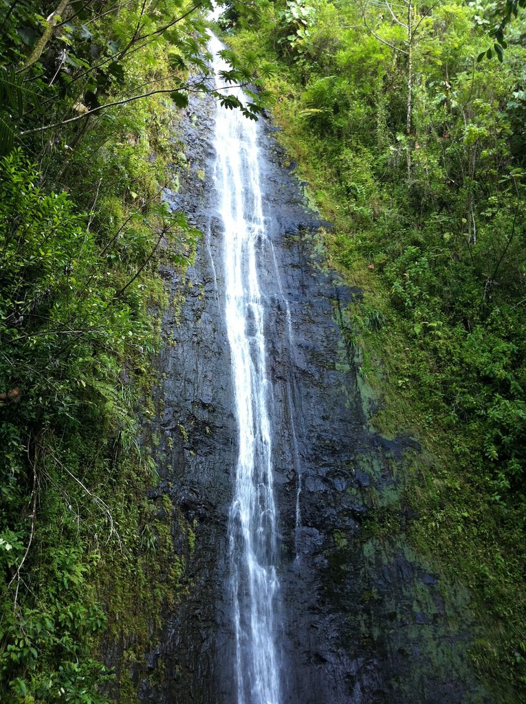 Honolulu Waterfalls