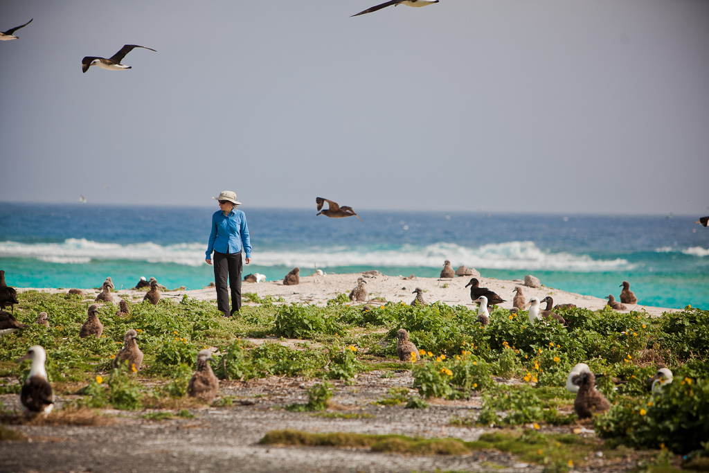 Midway atoll