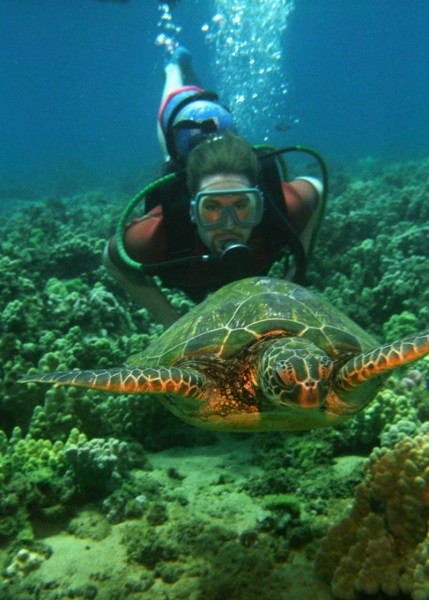 Swimming with Sea Turtles in Hawaii | Hawaiian Explorer