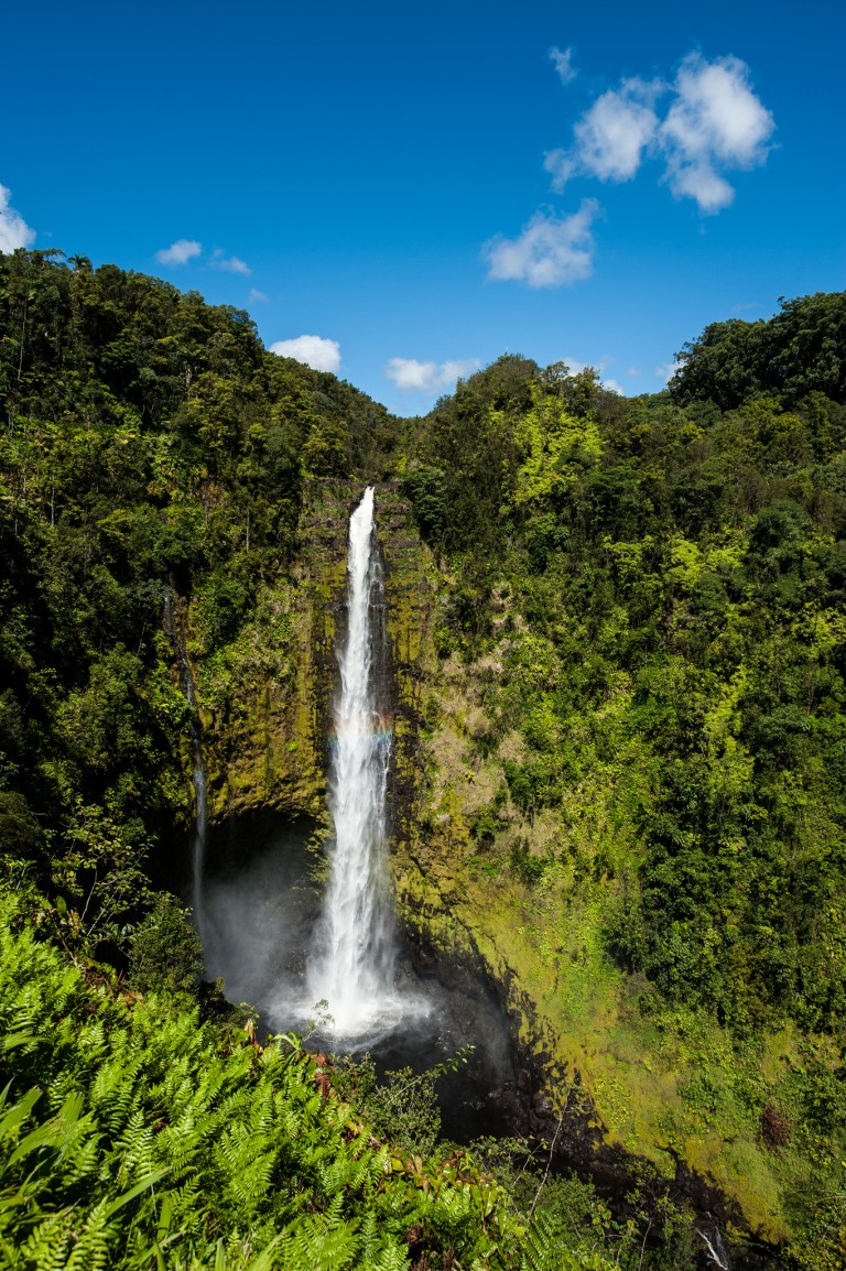 Akaka Falls State Park – Hawaiian Explorer