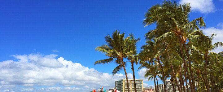 Language Stay in Honolulu: A Tropical Linguistic Adventure with Pro Linguis